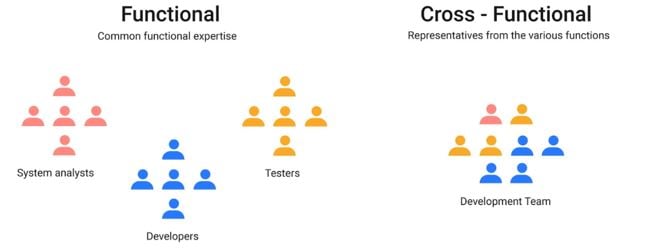 cross functional organizational structure graphic