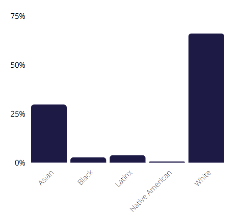 Diversity graph of google's leadership