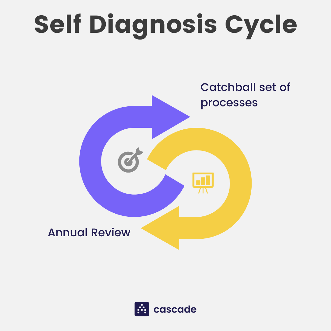 self diagnosis cycle