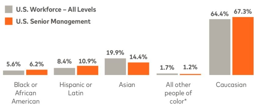 USA Workforce Diversity Graph