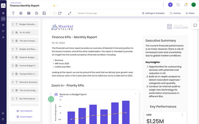 Financial KPI Report in cascade-1