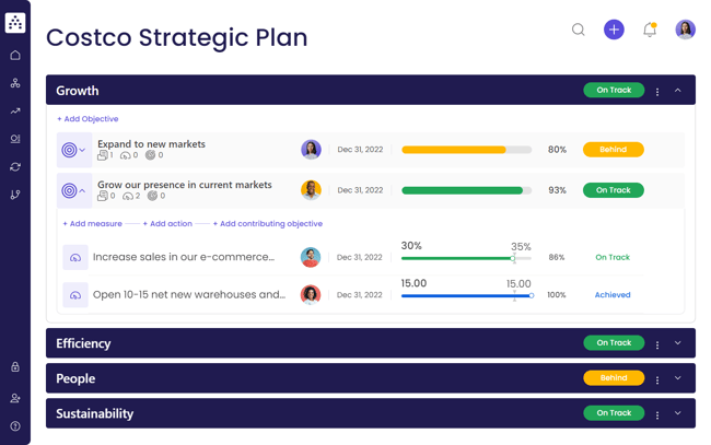 costco strategy plan template
