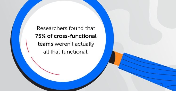 cross functional collaboration examples study